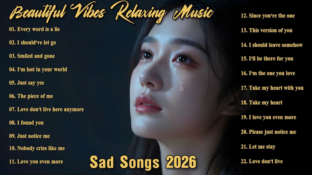 Beautiful Vibes Relaxing Music - NiExshadow | Sad Soft Acoustic Playlist | Heartfelt Ballads