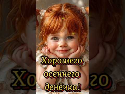 Хорошего осеннего денёчка! #доброевидео #2024 #реки #новоевидео #осень2024