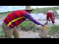 Unbelievable!!! Secret Mud Fishing Near The Rural Village Catch Many Fishes By Two Fishermen
