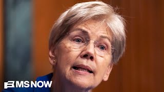 'No one is safer': Sen. Elizabeth Warren sounds alarm on Minnesota ICE shooting