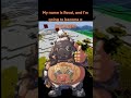 RPL Trailer Road S YouTube Channel 