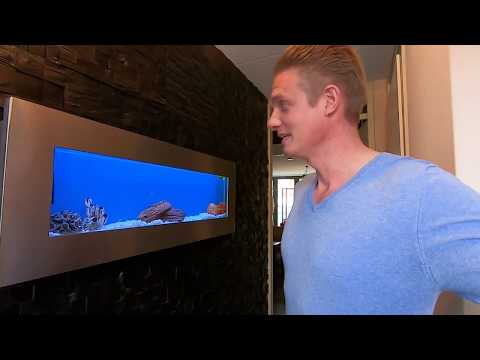 Video: Hoe Kies Je Een Aan De Muur Gemonteerd Aquarium?