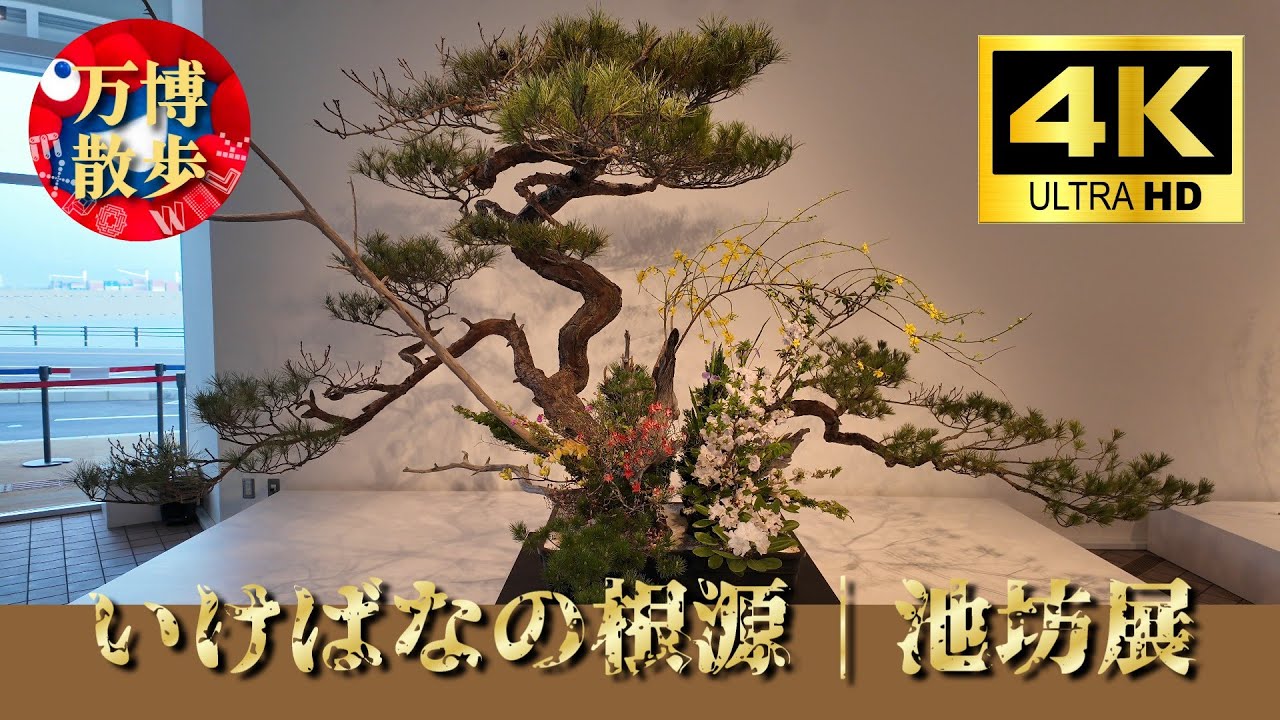 いけばなの根源｜池坊展 EXPO 2025 - YouTube
