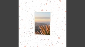 Lively Backdrops for Summer Thrill