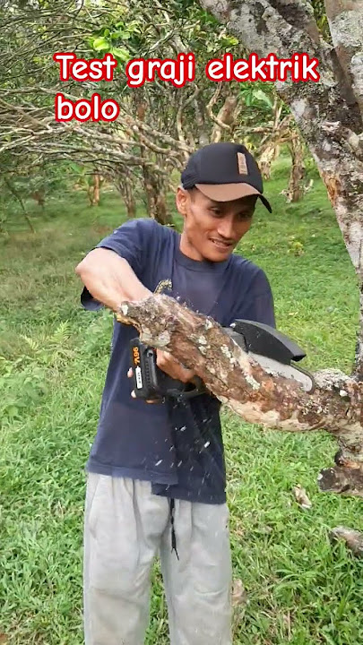 Testing the electric bolo saw is very helpful for pruning trees #shorts