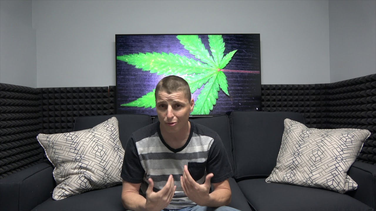 Plus CBD Oil Review - Investigated By CBD Dectective