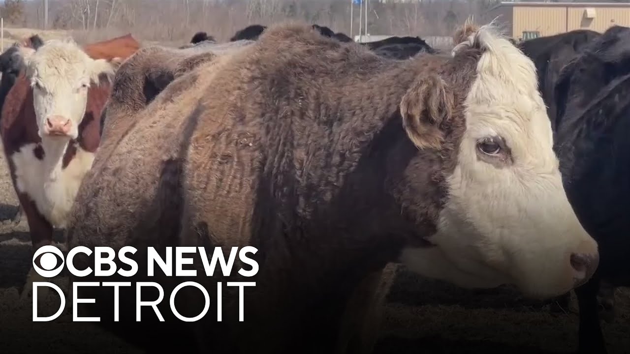 Michigan farmer supports Trump tariffs