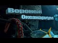 Поездка в воронеж. Океанариум в Воронеже, Набережная. Влог Amigo 767. Выходной семьей