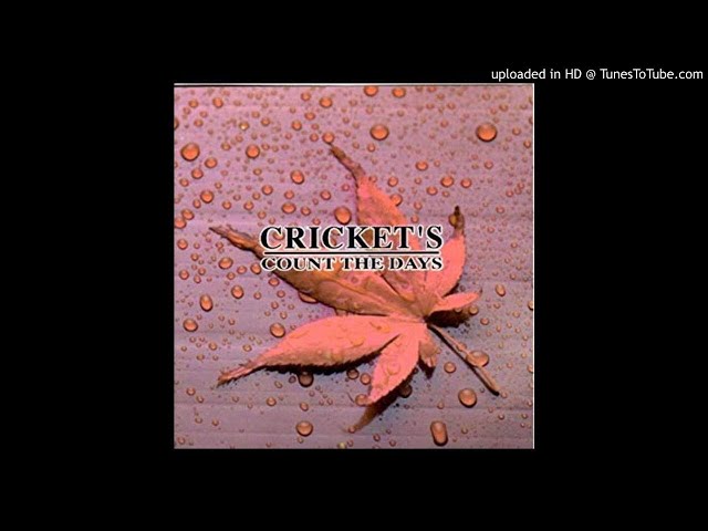 CRECKET'S クリケッツ　COUNT THE DAYS　レコード Cricket's – Count The Days | Releases | Discogs