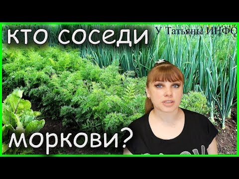 Выбираем соседей МОРКОВИ для хорошего урожая! Совместимость овощных культур!