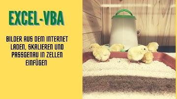 Video 294: Excel-VBA: Bilder aus dem Internet laden, skalieren und passgenau in Zellen einfügen