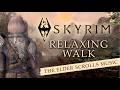 Relaxing walk across skyrim ae with mods  music  ambience