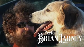 Brian Larney - Perfect (Official Music Video)