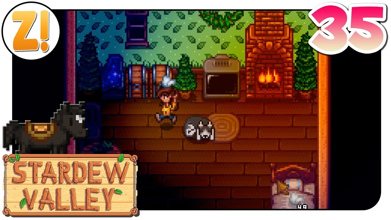 Stardew Valley Stall