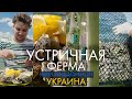 Куда поехать на выходных? Что посмотреть возле Коблево? Устричная ферма &quot;Скифия&quot; | #way2way