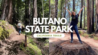 Butano State Park / First Days of Summer 2025 / Hiking California State Parks / 4K