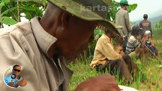 BALADA WAGIMAN TUA - Franky Sahilatua | Tembang Nostalgia Legendaris chords