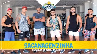 Sacanagenzinha - Harmonia do Samba ft. Ludmilla - Coreografia - Meu Swingão.