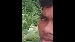 Dj mithlesh  Cham Cham Chamke mayta ro gondi song mp3 7879110489_Hh8dzpTJufI