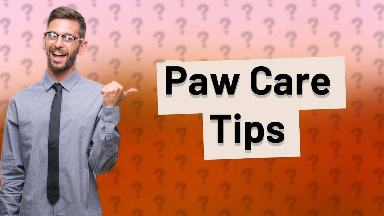 How can I soften my dogs paws naturally? YouTube