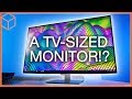 This is a MONITOR!? - LG 43UD79 4K Monitor