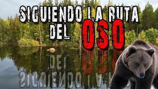 Suecia Salvaje: Siguiendo la ruta del oso en furgoneta 4x4 - #013 by vantribu 2,595 views 7 months ago 17 minutes