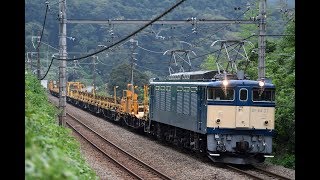 EF64 37 国鉄色 ロンチキ工臨 2019.8.27