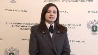 Особенности оформления ветеринарного сертификата Особенности оформления ветеринарного сертификата