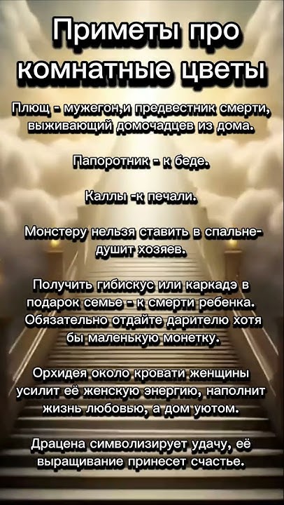Приметы про комнатные цветы 🌷 #приметы - YouTube