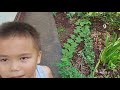 Faithfulness, with Kimo behind the camera
