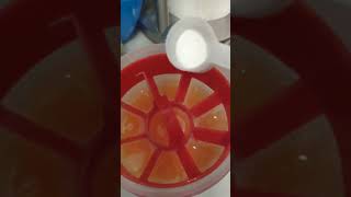 Inulin Powder Chicory Root Prebiotics Review, Great for gut health and immune system