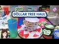 New DOLLAR TREE Haul!  Awesome Summer Finds!!  May 17, 2024!