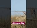 veeranam lake in Cuddalore district | mini vlog