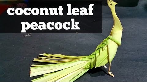 How to make a peacock with coconut leaf/Amazing leaf craft. 2021,2022.