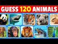 Guess 120 animals in 3 seconds  easy medium hard impossible
