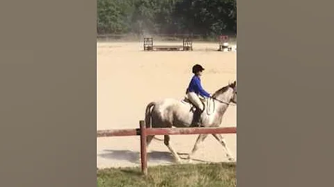 Sandy Lytle riding Smoke at hunter show 7 August 2...