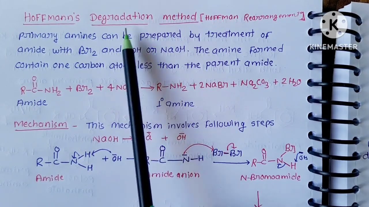 Hoffman Rearrangement