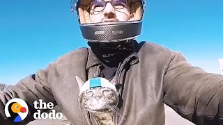 Guy Adopts Shelter Cat Who Wouldn't Leave His Side | The Dodo