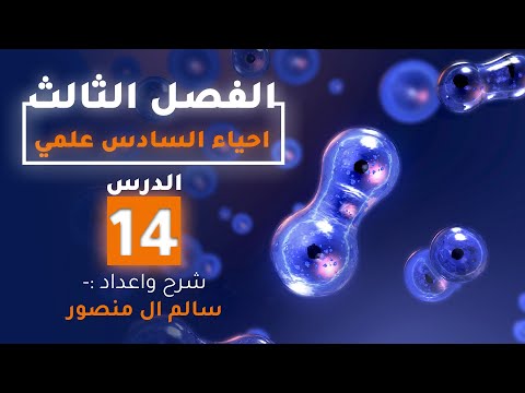 فيديو: هل كاسيات البذور لها تعدد الأجنة؟