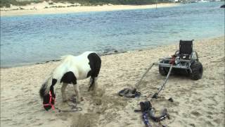Porth Kidney Beach