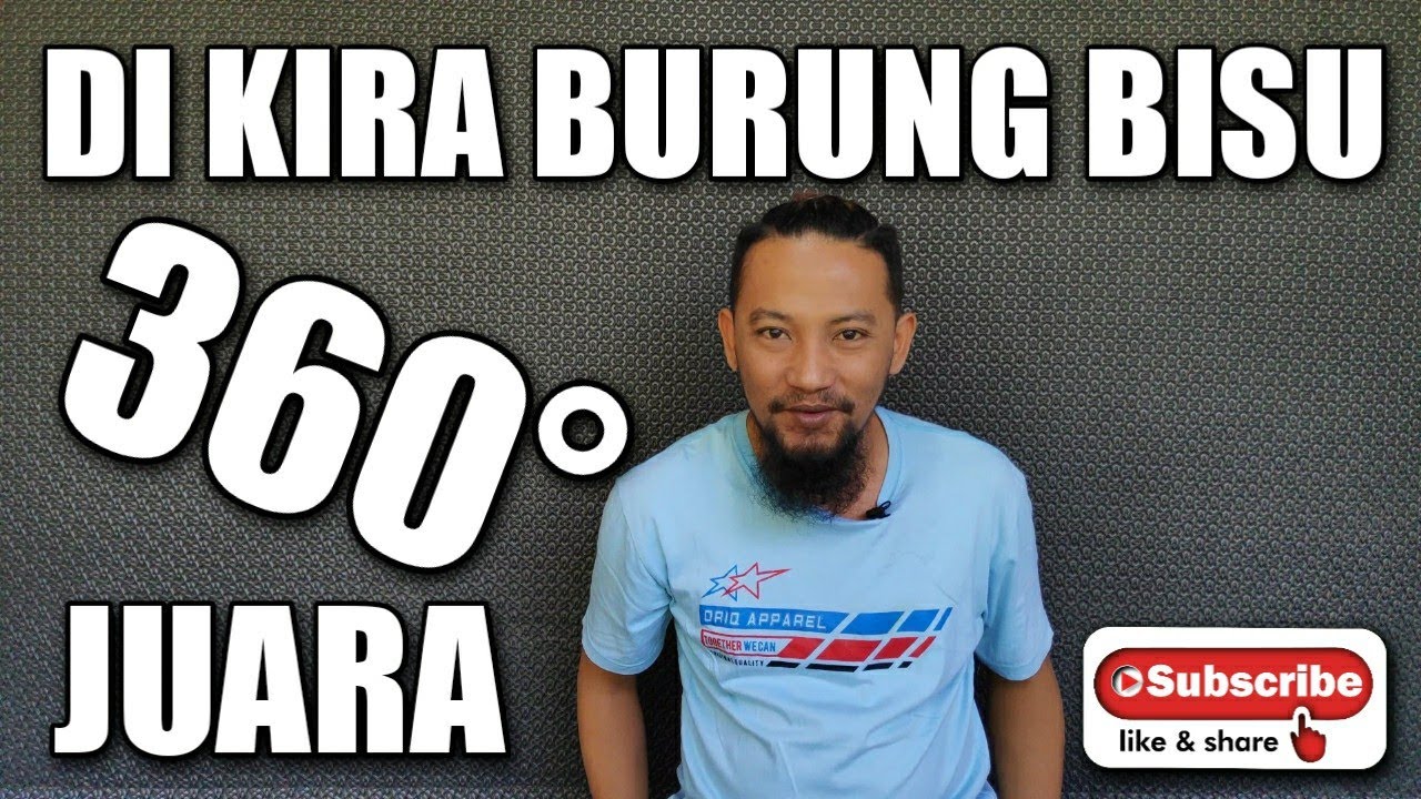 awalnya DI KIRA BURUNG BISU ternyata BURUNG JUARA
