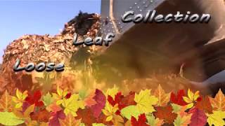 Leaf Collection 2017
