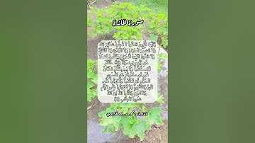 سورة المائدة ٢ #قرآن #قرآن_كريم #قران #قران_كريم #قرأن #اكسبلور #quran