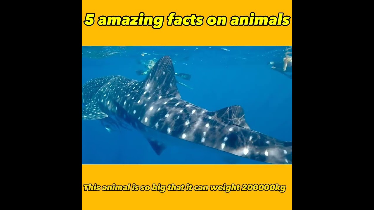 5 amazing facts on animals
