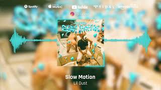 Lil Dust - Slow Motion (Official Visualizer) | @Dustxmoney