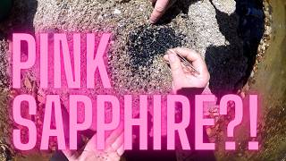 Pink Sapphire Found! | Tasmania Fossicking Adventure 💎⛏️