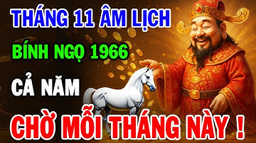 Tử Vi Tháng 11 Âm Lịch 2025 Tuổi Bính Ngọ 1966 | Thời Vận Mở Lối, Thành Công Viên Mãn
