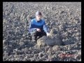 No-till & Mini-till versus традиционный метод