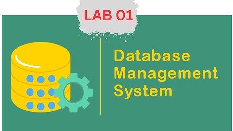 DataBase Management System Lab 01 | Abir Kundu