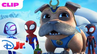 gobby and rhino cause teleporting trouble marvels spidey and his amazing friends disneyjr